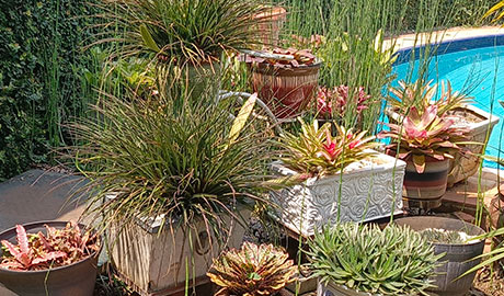 artistic-flora-display